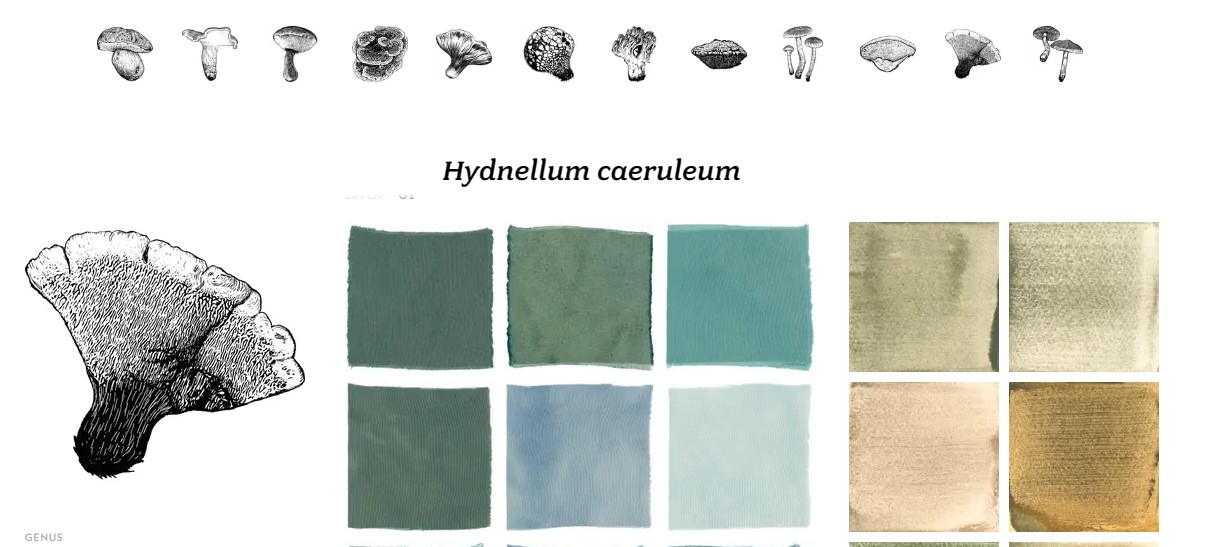 4. BioChromes Ziortza Aurrekoetxea